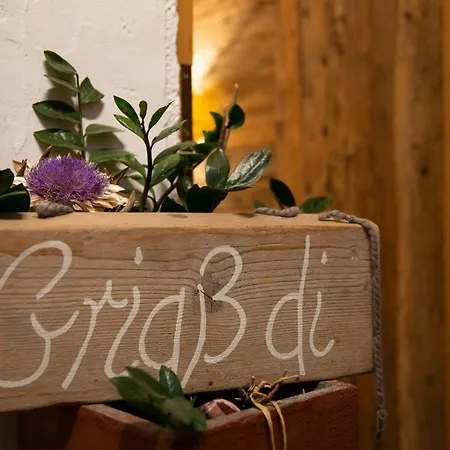 Wienerhof 3* 트린스