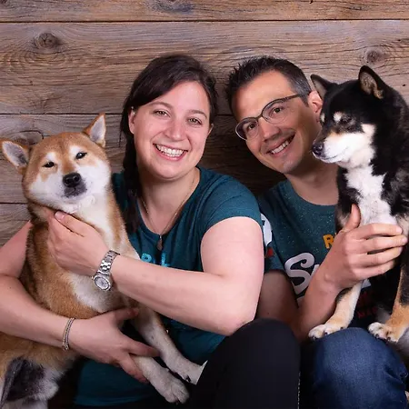 Wienerhof Bed and breakfast Trins