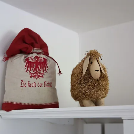 Bed and breakfast Wienerhof Trins